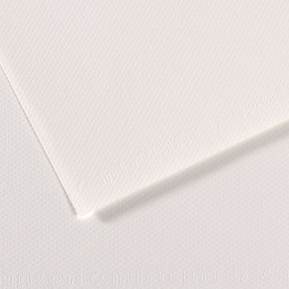 Бумага для пастели Mi-Teintes 160г/м.кв 50*65см №335, белый,10л